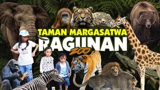 🔴TERBARU‼️ EXPLORE RAGUNAN ZOO  WISATA JAKARTA [upl. by Kass]