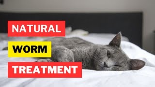 What Are the Best Natural Dewormers for Cats  Cat Worms  Cat Dewormer  Cat Grooming [upl. by Keligot]