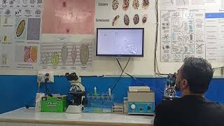 Microscopic examination of samples on Advanced Microscopy by Dr Muhammad UMER PhD Microbiology [upl. by Enrique]