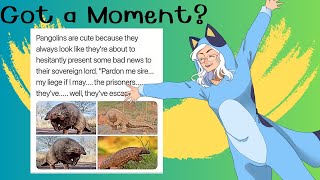 Memes for Your Average Pangolin and then some [upl. by Yv441]