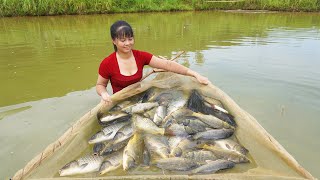 Harvesting A Lot Of Fish Goes To Countryside Market Sell  Phương  Free Bushcraft [upl. by Ainotna349]