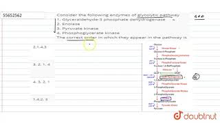 Consider the following enzymes of glycolytic pathway 1 Glyceraldehyde3 phosphate [upl. by Landy132]