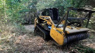 First Forestry Mulching Job for the new ASV rt135 skidsteer [upl. by Elleiand]