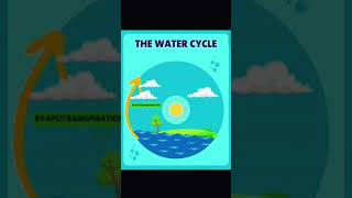 watercycle schoolproject craft easyproject [upl. by Geis]