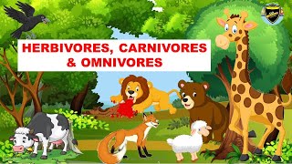 Herbivores  Carnivores  Omnivores  Types of Animals [upl. by Ravahs]