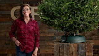 ORVIS  Worlds Easiest Christmas Tree Stand [upl. by Killam]