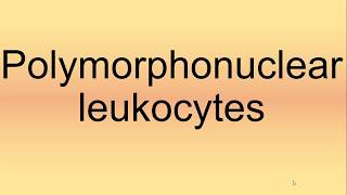 Polymorphonuclear Leukocytes Pronunciation  How to Say  How to Pronounce [upl. by Petromilli]