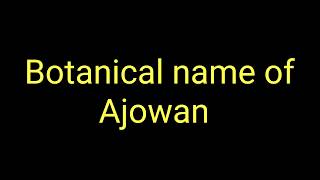 Botanical name of Ajowan  Scientific name of Ajowan [upl. by Izabel]