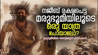 ആടുജീവിതത്തിലെ മരുഭൂമിയിലേക്ക് ഒരു യാത്ര  Aadujeevitham Movie  Goatlife  Najeeb  Prithviraj [upl. by Pliske]