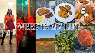 WEEKLY VLOG Cooking Terror Park Fall Activities amp More [upl. by Pulchia173]