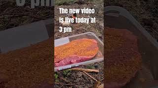 Outdoor cooking Video X Fire wood stove and big juicy steak outdoors youchannel [upl. by Sivat]