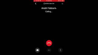 How to start Audio or Video call in BOTIM app [upl. by Kele644]
