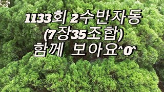 1133회 2수반자동7장35조합 함께 보아요0 [upl. by Aehsat115]