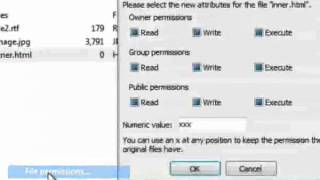 File amp Folder Permissions using Filezilla [upl. by Oj]