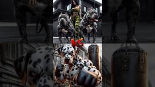 Doberman VS Pitbull VS Great din dog [upl. by Nitnerb183]