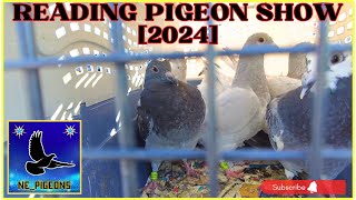 The Biggest Pigeon Show  Lancaster PA 2024 🕊️ [upl. by Stroup]