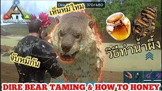 Ark Mobile มือถือ EP63 มาทำน้ำผึ้งไปจับหมีกันDire Bear Taming amp How To Honey [upl. by Analak]