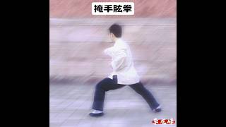 陳氏太极拳老架二路 第二十二式掩手肱拳 [upl. by Jarin]