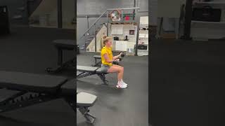 Seated Dumbbell Curls [upl. by Uzzia]