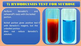 Carbohydrates Hydrolysis test [upl. by Itsyrc570]