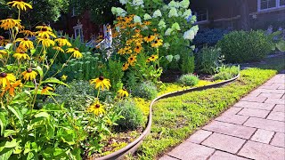 I Turned My Front yard Into A Perennial Garden  PERENNIAL GARDEN TOUR garden gardentour new [upl. by Xanthe638]