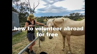 How to volunteer abroad for free [upl. by Eleik]