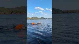 11 days out from Ironman Chattanooga ironman triathlon swimming lake canada swimbikerun [upl. by Culbert]