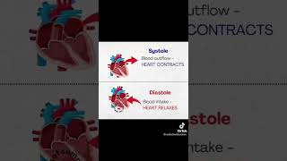 Systole and Diastole difference between systole and diastole heart blood science humananatomy [upl. by Thebazile739]