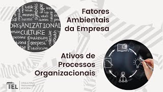 Fatores Ambientais da Organização [upl. by Noiramed]