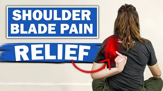 Chronic Shoulder Blade Pain Relief  What Causes It  EVERYTHING YOU NEED TO KNOW [upl. by Hallette]