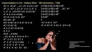 practice Improvisation in Cm  Indiara Sfair – Bb harmonica –TAB with Backing track [upl. by Loux]