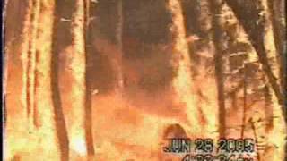 Using sprinklers and gel for structure protection from wildfire Video  3 [upl. by Drobman]