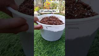 Soil mix for seed germination gardening shorts youtube plantscorner seeds [upl. by Sula981]