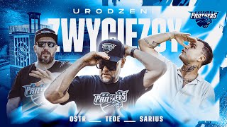 OSTR x Sarius x TEDE  Urodzeni zwycięzcy  Panthers Wrocław [upl. by Alanna146]