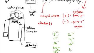 CTC 110 Technology Cation amp Anion Analysis Using Ion Chromatography [upl. by Attecnoc]