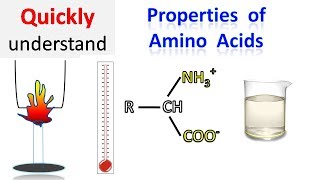 Properties of amino acids [upl. by Leor]