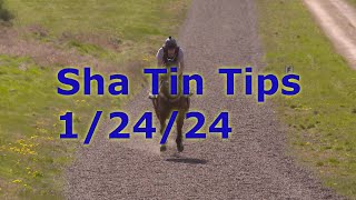 🏇Hong Kong Horse Racing Tips 1242024  Sha Tin [upl. by Mosnar677]