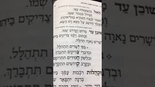 Chazan Nathan Gluck  Yom Tov Shacharis Beginning [upl. by Grishilda]