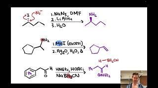 Synthesis and Reactions of Amines  LTQ 91 Spring 2024 [upl. by Scrivings472]