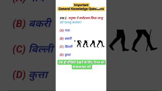 General knowledge questions youtubeshorts best knowledgefacts shorts subscribe [upl. by Assele]