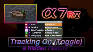 Sony A7R V Tracking On Toggle Hidden Feature [upl. by Eryn381]