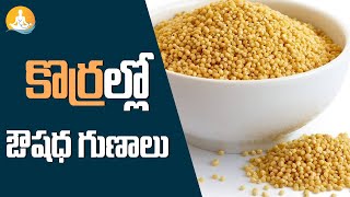 Korralu Health Benefits in Telugu  Millets Food  Dr Calms Sanjeevani nutrientrich foxtailmillet [upl. by Cirek449]