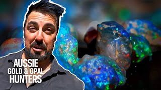 The BEST OPAL HAULS Of Season 9  Outback Opal Hunters [upl. by Redyr]