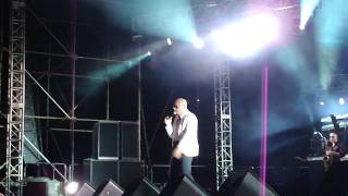 Pitbull Maldito Alcohol [upl. by Trebled]