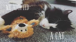 WE GOT A CAT ADOPTING FROM THE RSPCA  VLOG 10 [upl. by Judus]