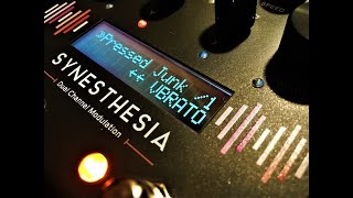 GFI Systems Synesthesia  Pressed Junk amp Vibrato  Demo [upl. by Lac524]