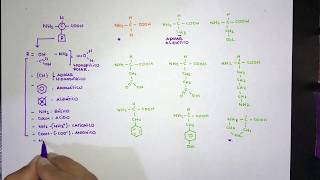 TALASSEMIAS  TALASSEMIA BETA E TALASSEMIA ALFA  HEMATOLOGIA [upl. by Airod346]