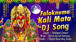 Falaknuma Kali Mata Dj Song  Chettu Kinda Dorasani  Old City Amruth Potharaju  Peddapuli Eshwar [upl. by Suoicerpal]