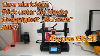 Eryone ER20 Teil 2 Kein XXXX dafür ABS Temperatur Genauigkeit Sensor Curaprofil Firmware flash [upl. by Annek613]