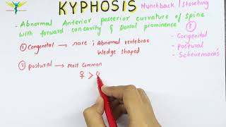 Kyphosis  Medical symptomatology  Types and Causes [upl. by Harp740]